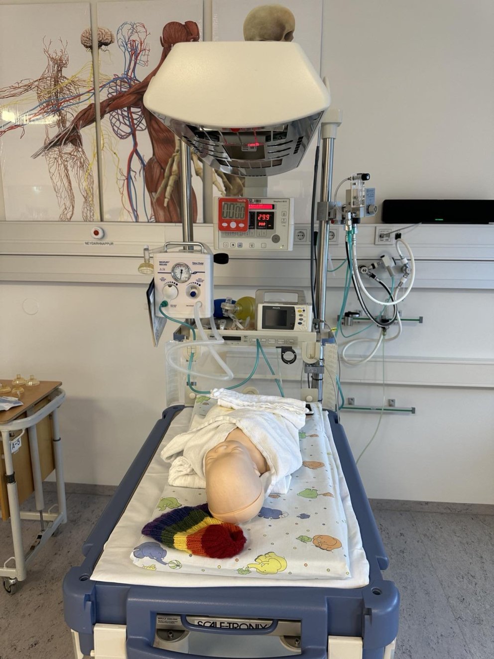 NLS námskeið í sérhæfðri endurlífgun nýbura